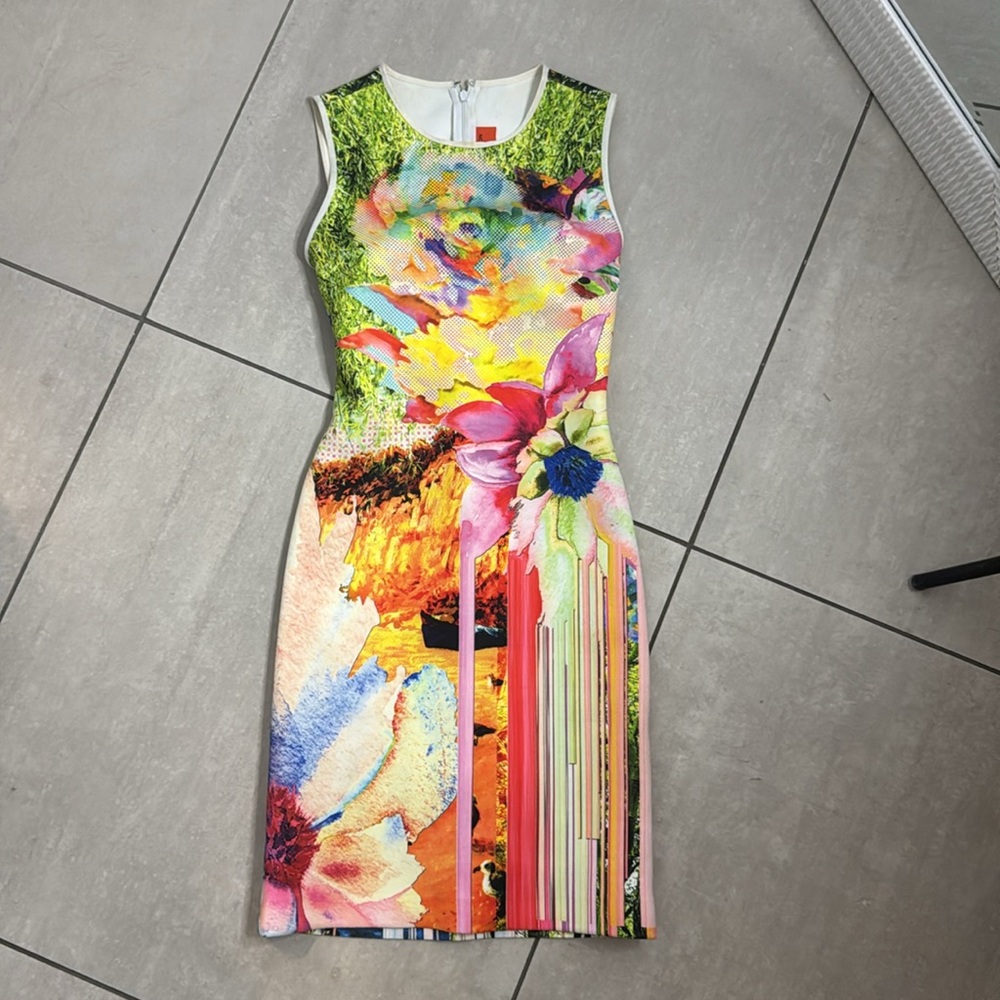 Clover Canyon Bodycon Graphic Art